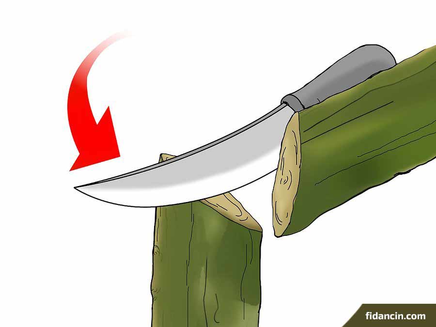 dilcikli aşı yapımı