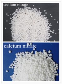 Nitrat Azot Gübre